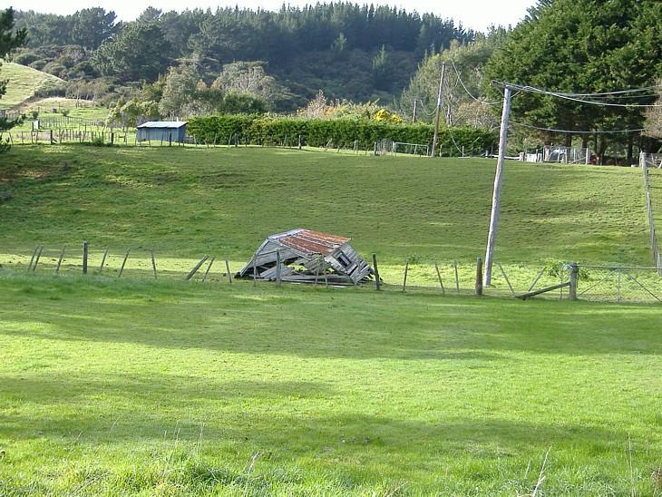 Photos: New Zealand (pictures, images)