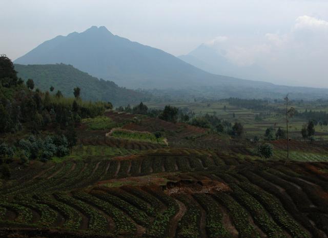 Photos: Rwanda (pictures, images)