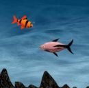 Play game free and online: Franky 2