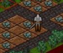 Play game free and online: Protector