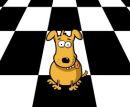 Play game free and online: Puppy Curling