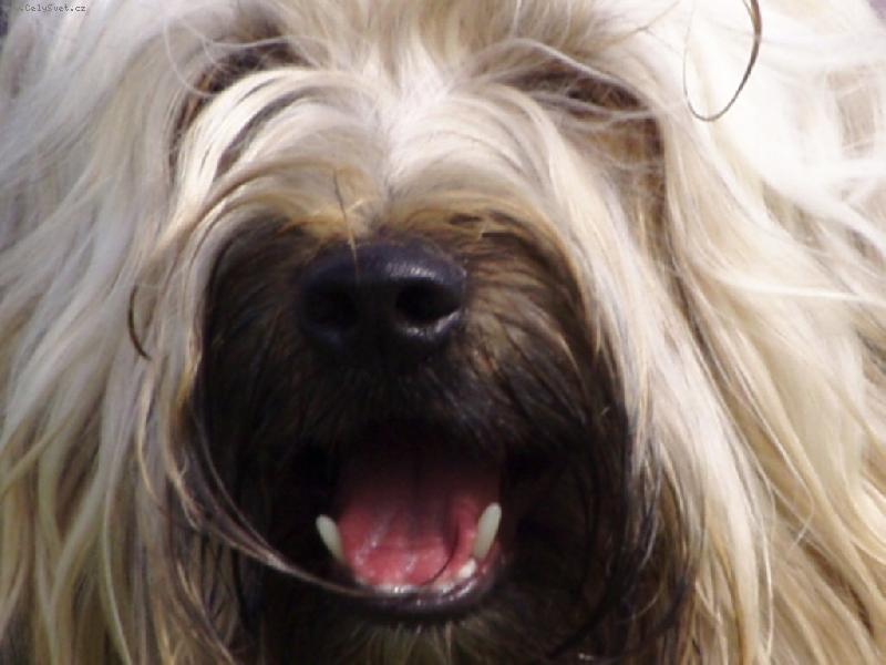 Foto: �sm�v, pros�m!