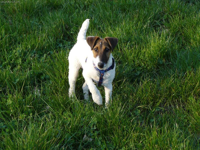 Foto: Kira v tr�v�-Co se d�je v tr�v�?