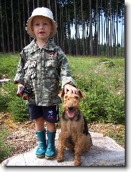 Welsh terrier \(Dog standard\)