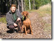 Rvidszr Magyar Vizsla, Hungarian Short-haired Pointing Dog