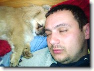 Pekingsk palcov psk, pekinz