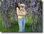 Pekingsk palcov psk, pekinz