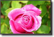 Wallpapers (pc): 821