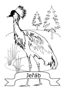 Free Coloring pages