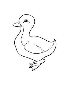 Free Coloring pages
