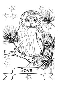Free Coloring pages