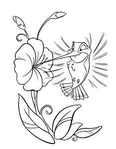 Free Coloring pages