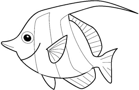 Free Coloring pages