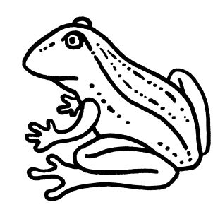 Free Coloring pages