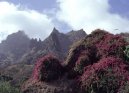 Photos: Cape Verde (pictures, images)