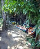 Photos: Dominica (pictures, images)