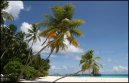 Photos: Maldives (pictures, images)