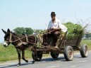 Photos: Romania (pictures, images)