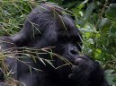Photos: Rwanda (pictures, images)