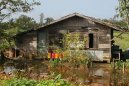 Photos: Suriname (pictures, images)