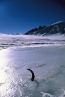 Photos: Tajikistan (pictures, images)