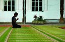 Photos: Tajikistan (pictures, images)