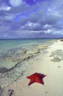 Photos: Turks and Caicos Islands (pictures, images)